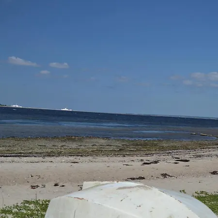 Farso Op-1966 Дом отдыха Farso